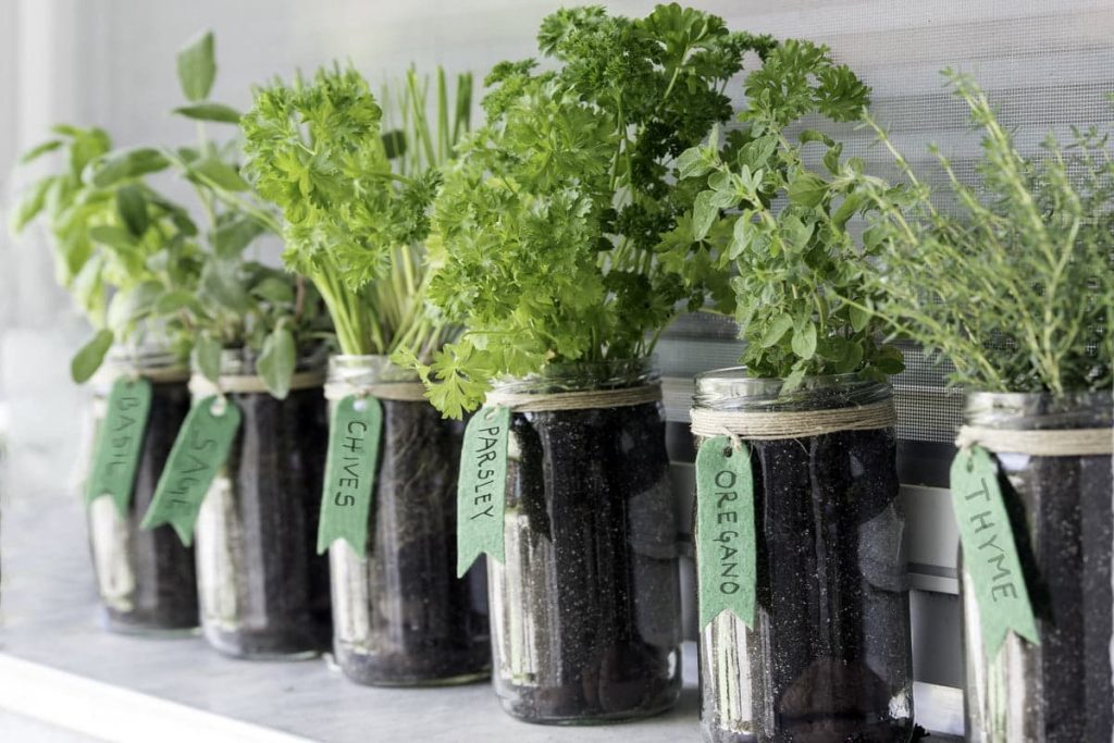 5 herb garden ideas designs