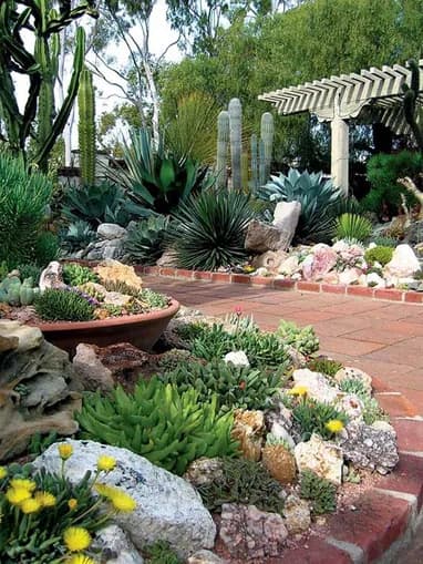 5 succulent garden ideas designs