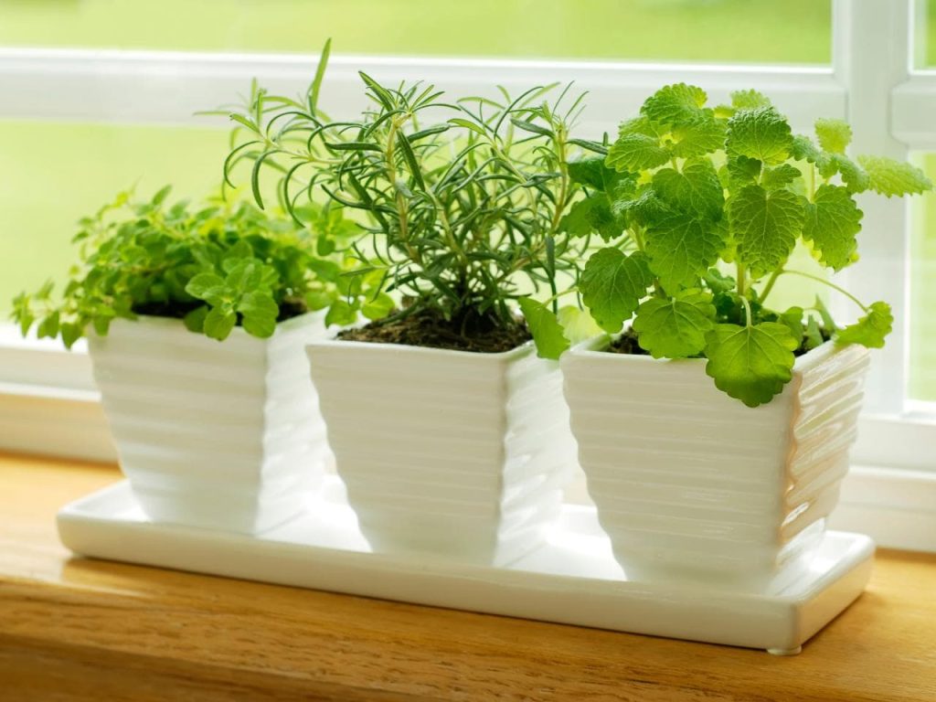 6 herb garden ideas designs