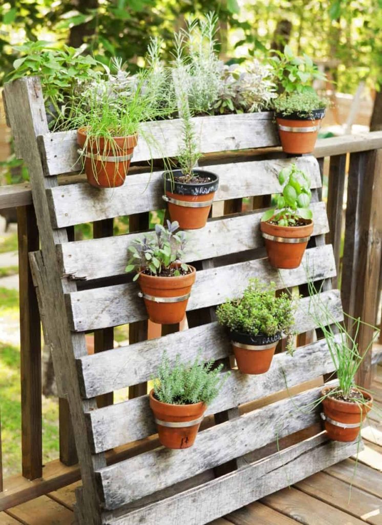 7 herb garden ideas designs