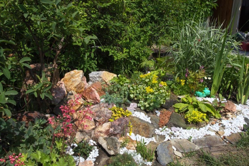 7 rock garden ideas