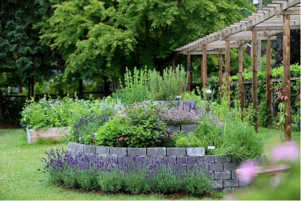8 herb garden ideas designs