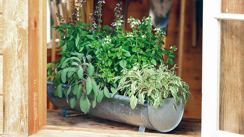 9 herb garden ideas designs