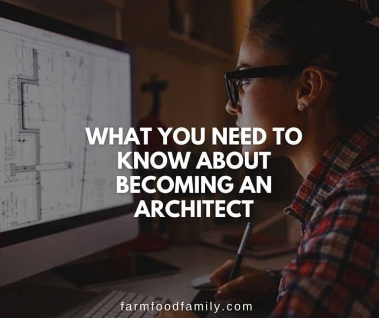 What You Need to Know About Becoming an Architect