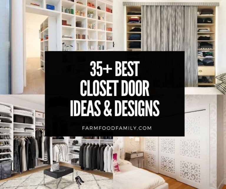 35+ Best Closet Door Ideas and Designs (With Pictures)