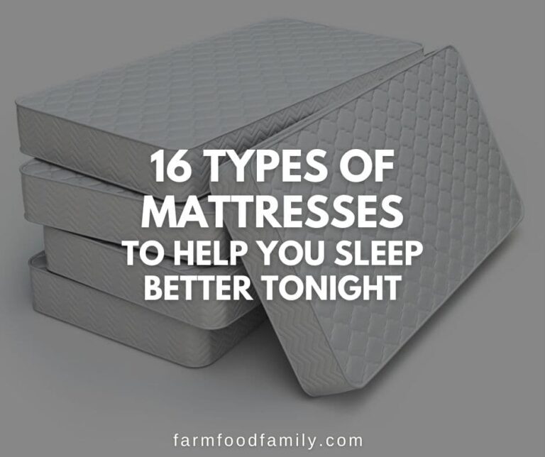 16 Different Types of Mattresses to Help You Sleep Better Tonight