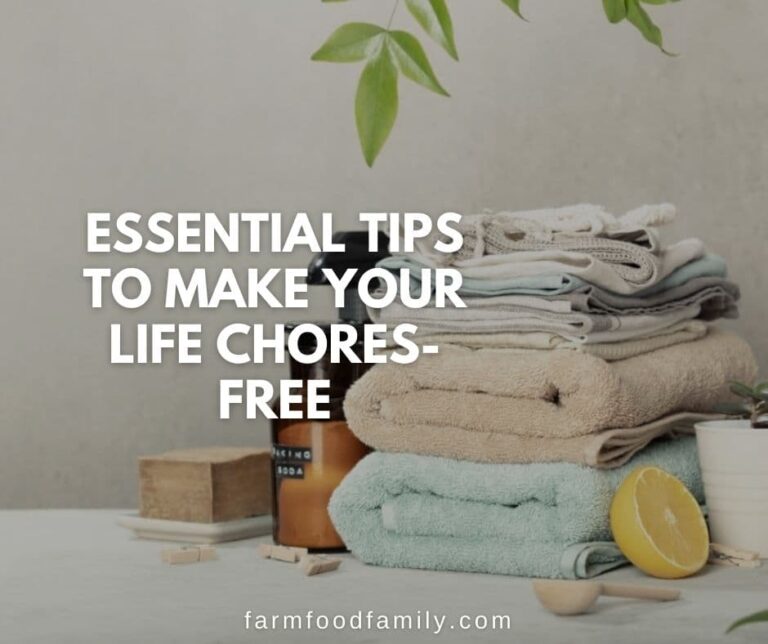Essential Tips to Make Your Life Chores-Free