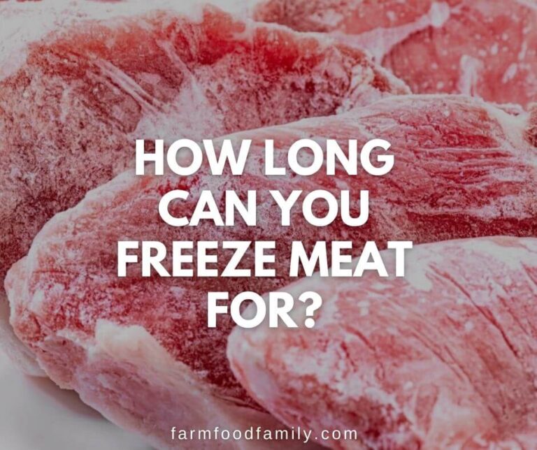 How Long Can You Freeze Meat For?