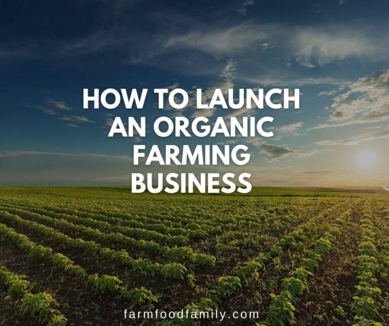 How to Launch an Organic Farming Business