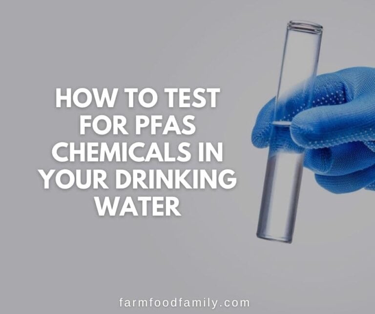 How To Test For PFAS Chemicals In Your Drinking Water
