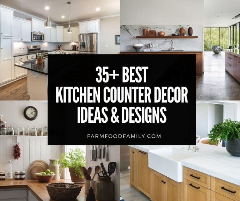 35+ Best Kitchen Counter Decor Ideas and Designs (With Photos)