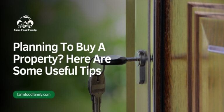 Planning To Buy A Property? Here Are Some Useful Tips