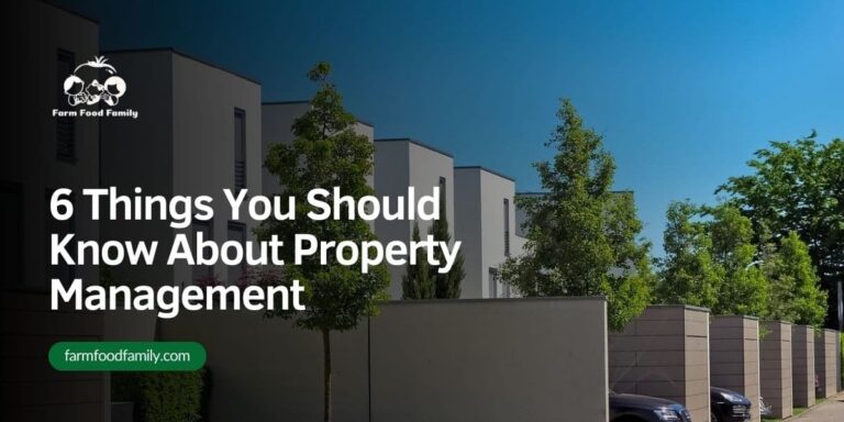 6 Things You Should Know About Property Management