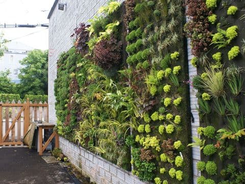 15 garden wall ideas