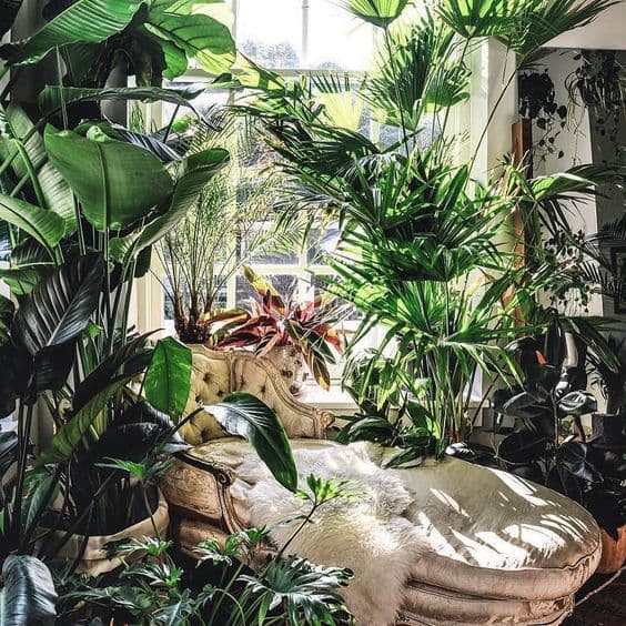 15 indoor garden ideas