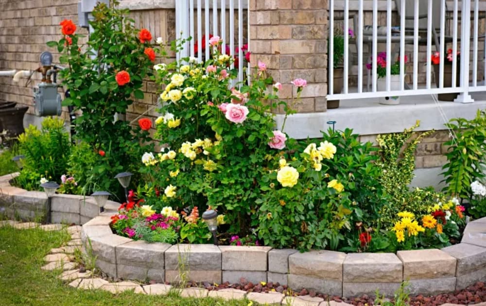 15 rose garden ideas