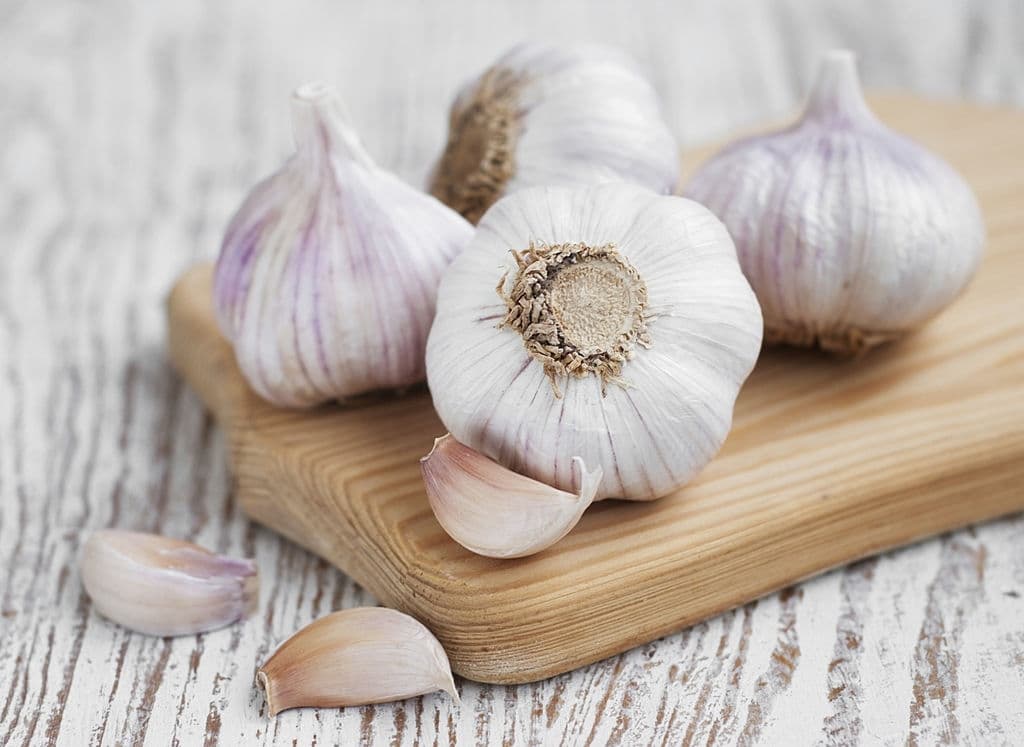 18 types of herbs garlic