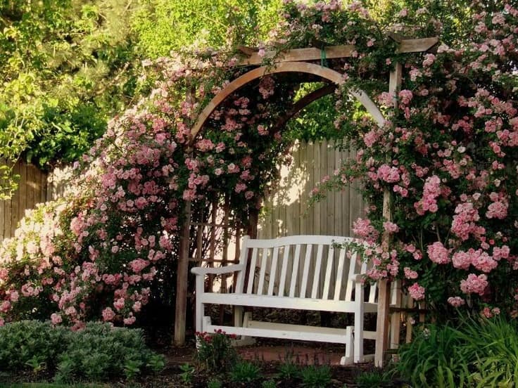 2 rose garden ideas