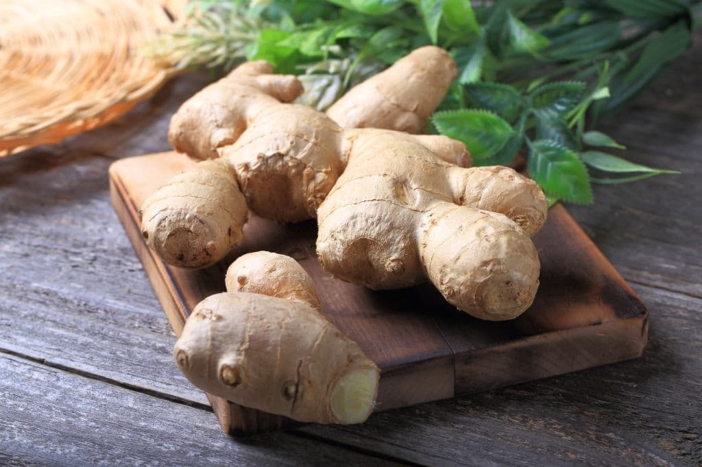 20 types of herbs ginger