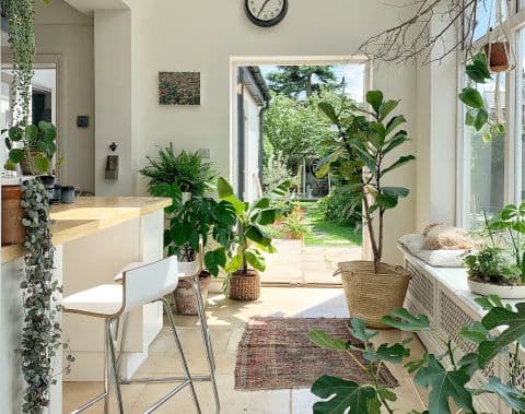23 indoor garden ideas