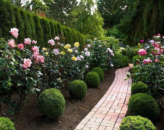 29 rose garden ideas