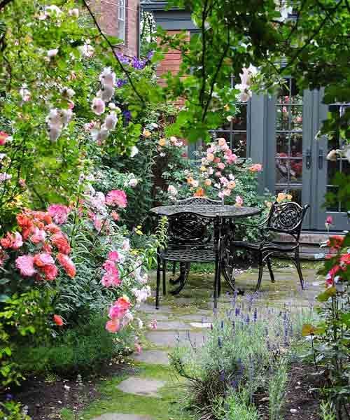 30 rose garden ideas