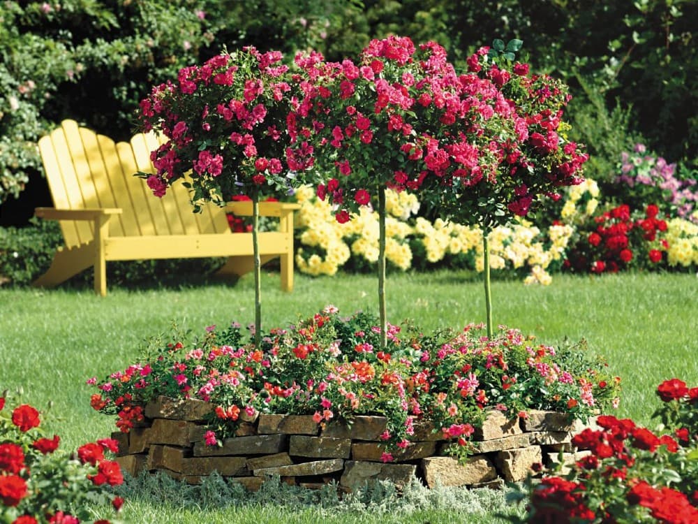 31 rose garden ideas