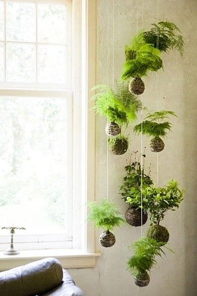 35 indoor garden ideas