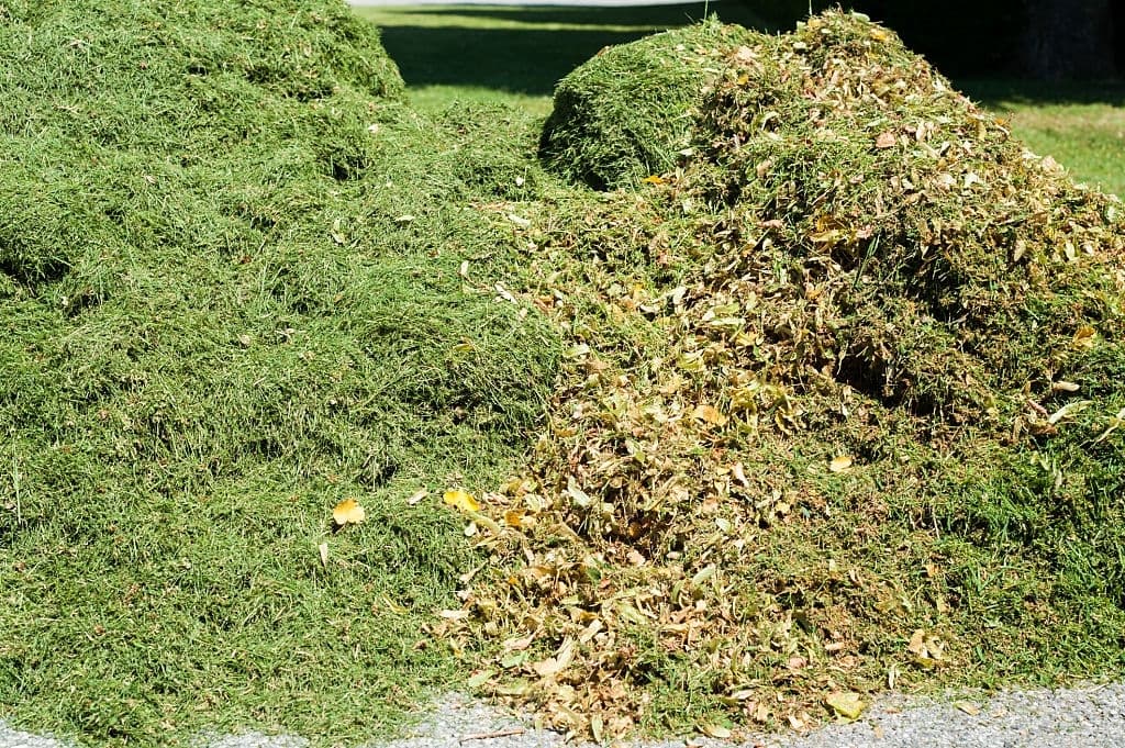 7 grass clippings