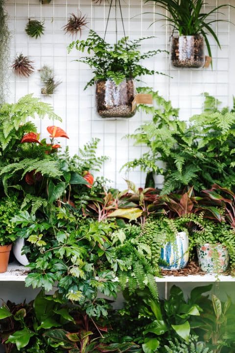 7 indoor garden ideas