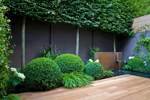 8 garden wall ideas