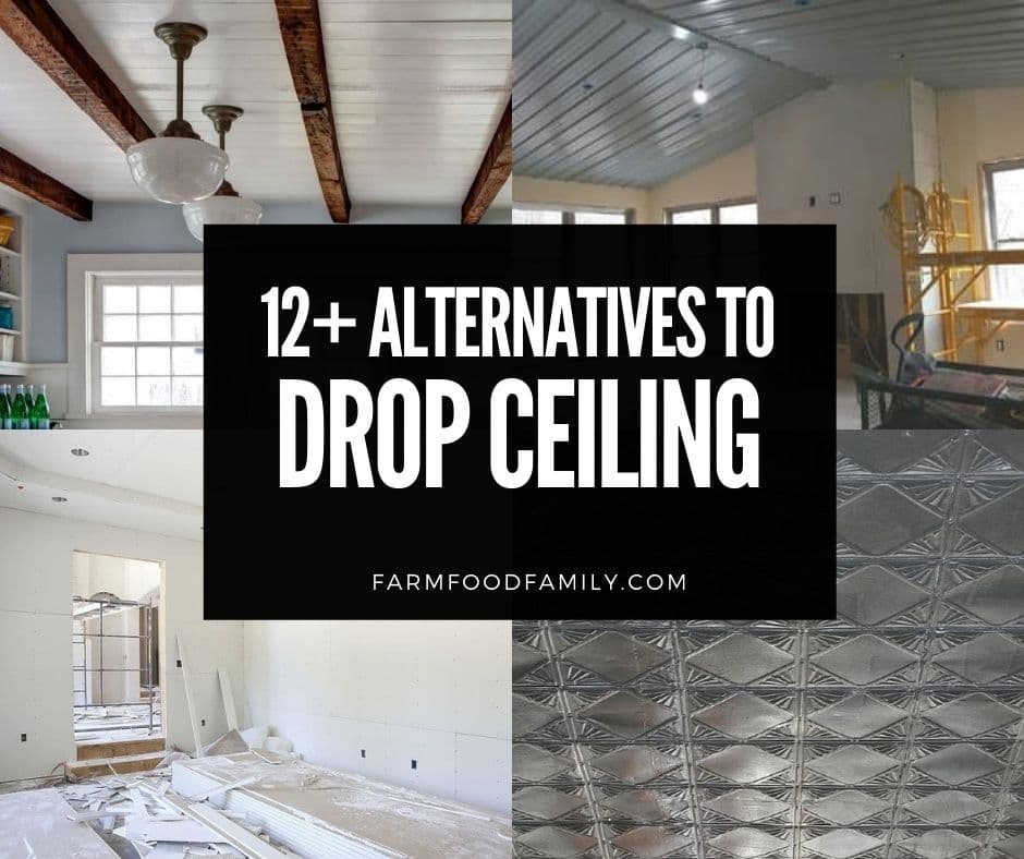 12 Best Drop Ceiling Alternatives, Drop Ceiling Alternatives Ideas
