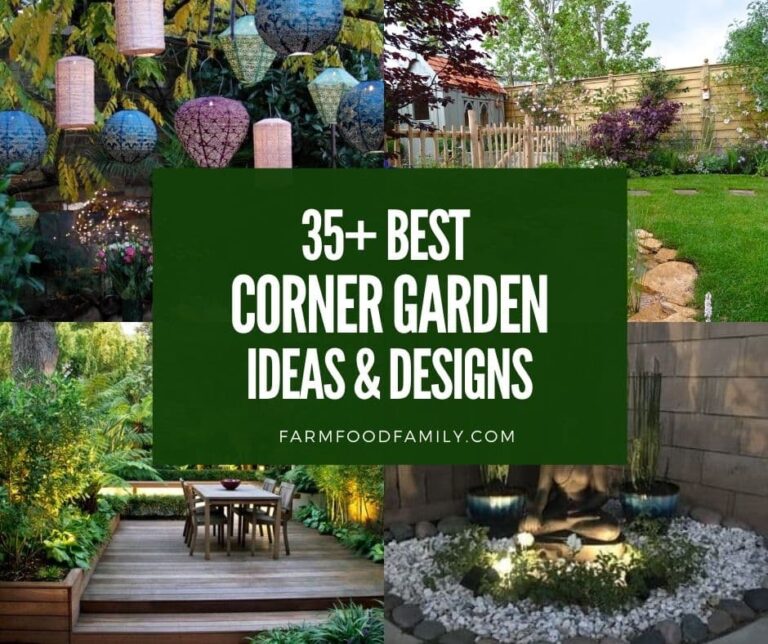 35+ Best Corner Garden Ideas and Designs (With Pictures)