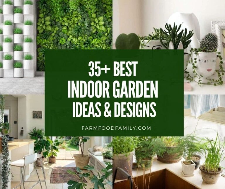 35+ Best Indoor Garden Ideas and Designs (With Pictures)