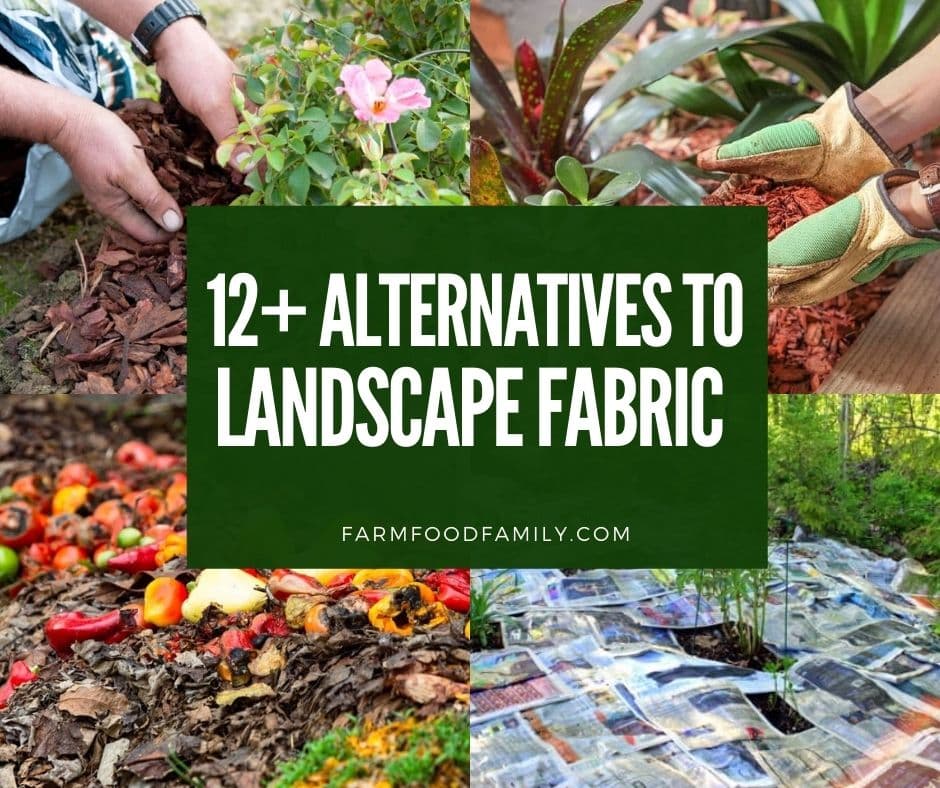 12 Alternatives To Landscape Fabric For, What Is The Best Landscape Fabric To Put Under Rocks