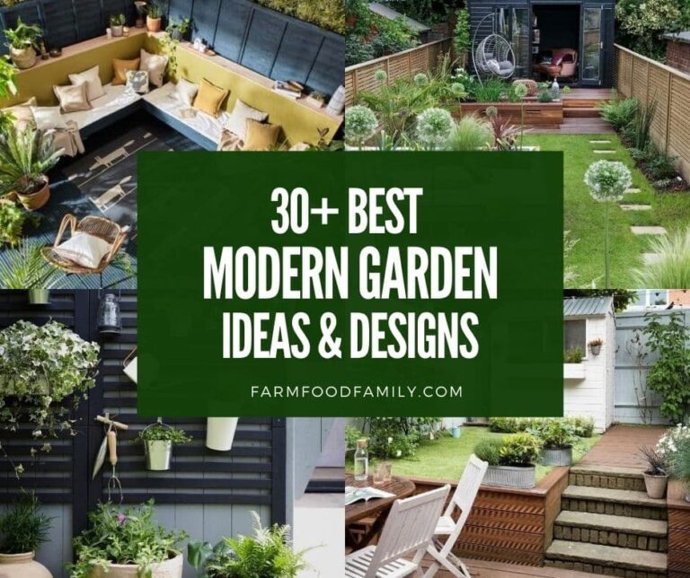 30+ Best Modern Garden Ideas and Designs (With Pictures)