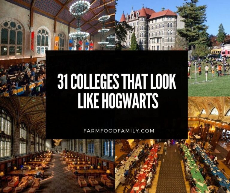 31 Beautiful Colleges That Look Like Hogwarts