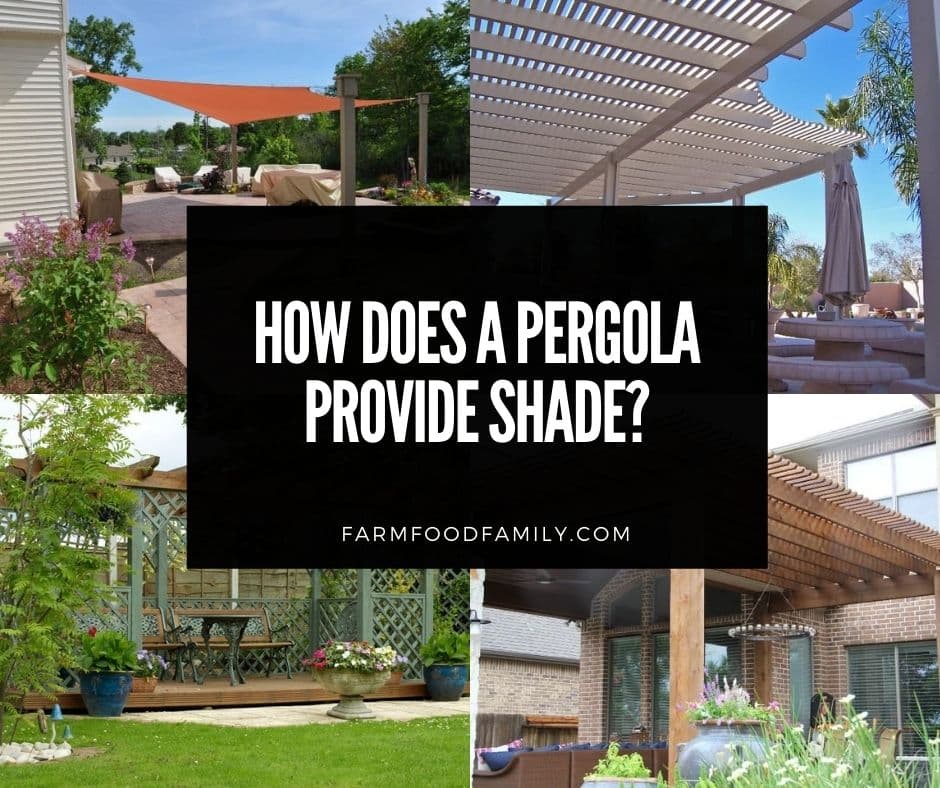 How Does a Pergola Provide Shade 