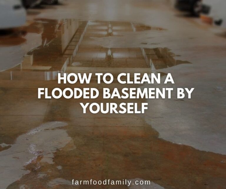 How To Clean a Flooded Basement by Yourself