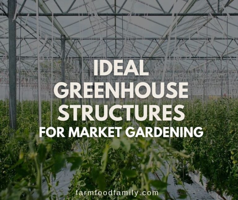 Ideal Greenhouse Structures for Market Gardening