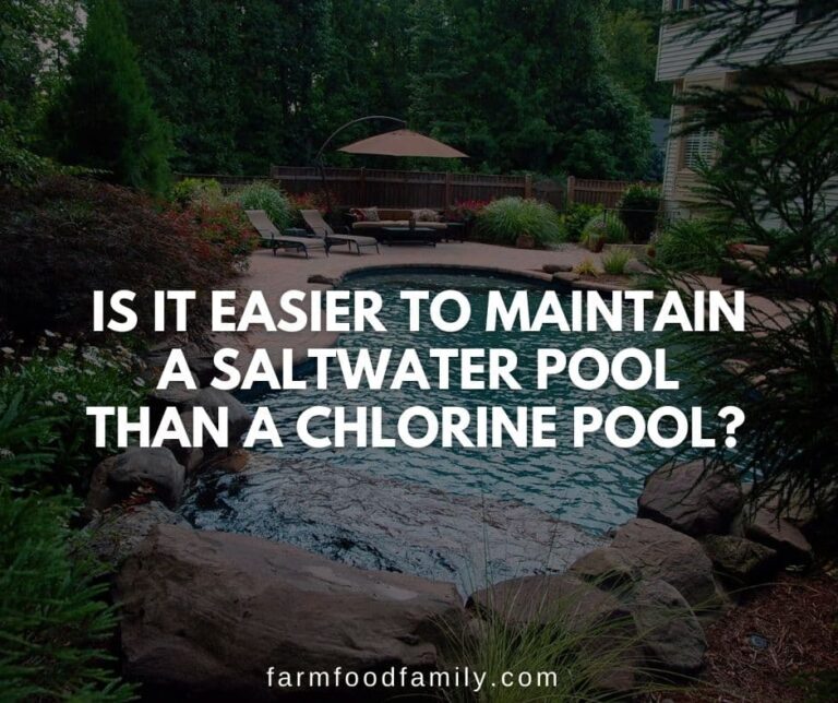 Is It Easier To Maintain a Saltwater Pool than a Chlorine Pool?