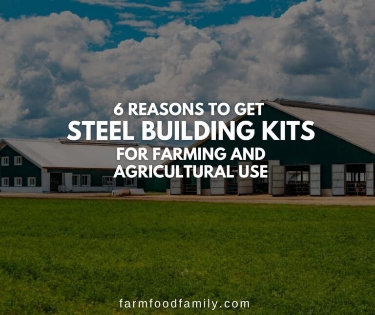 6 Reasons To Get Steel Building Kits For Farming And Agricultural Use