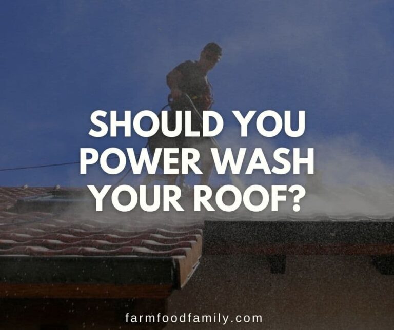 Should You Power Wash Your Roof?