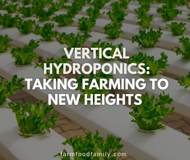 Vertical Hydroponics: Taking Farming to New Heights