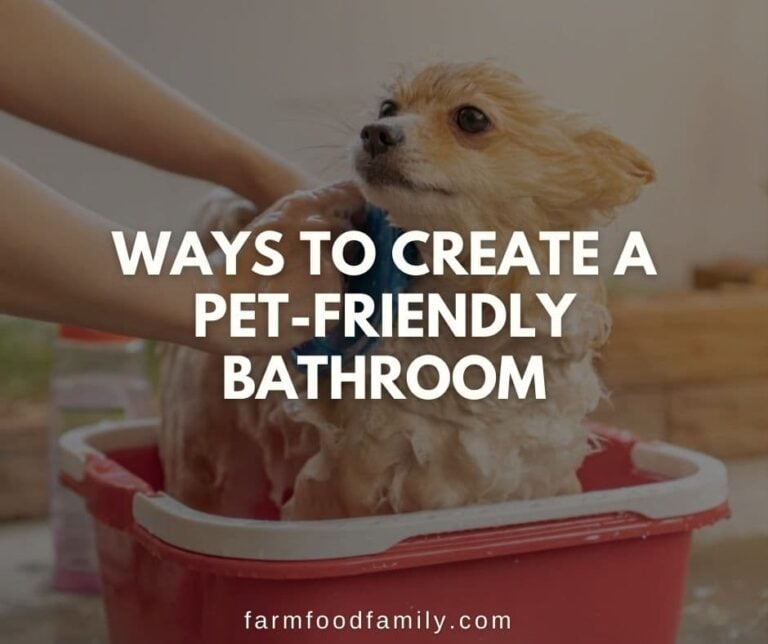 11 Ways to Create a Pet-Friendly Bathroom