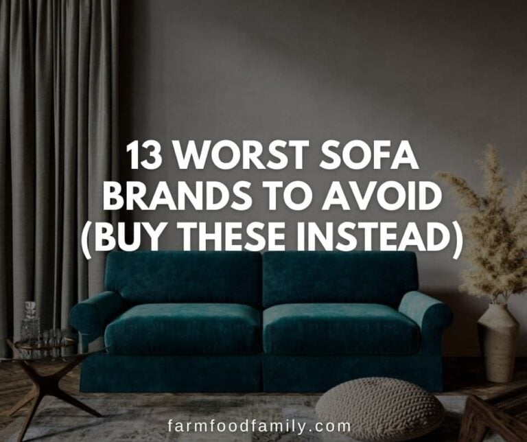 13 Worst Sofa Brands To Avoid and 32 Most Reliable Brands To Buy