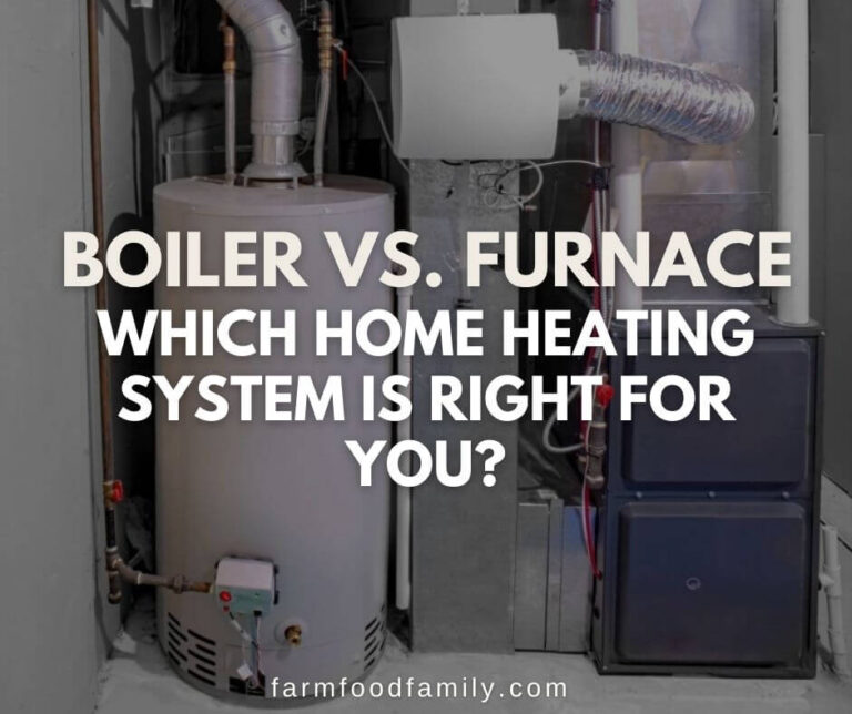 Boiler vs. Furnace: Which Home Heating System is Right for You?
