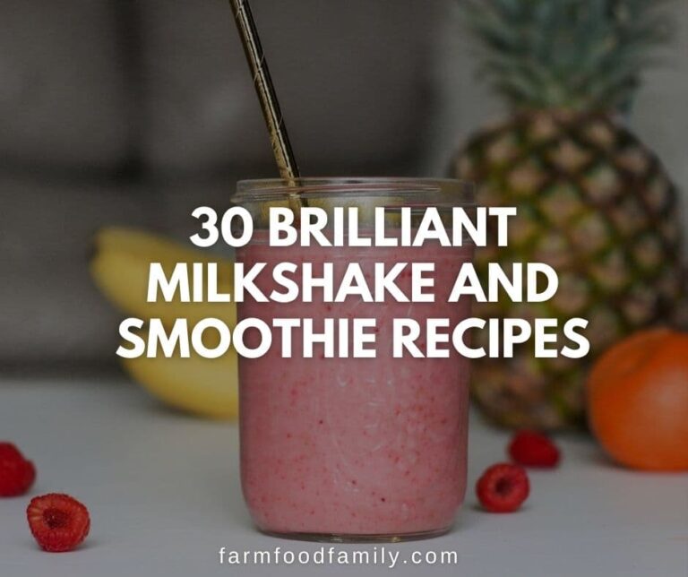 30 Brilliant Milkshake And Smoothie Recipes You Can Make In A Jiffy