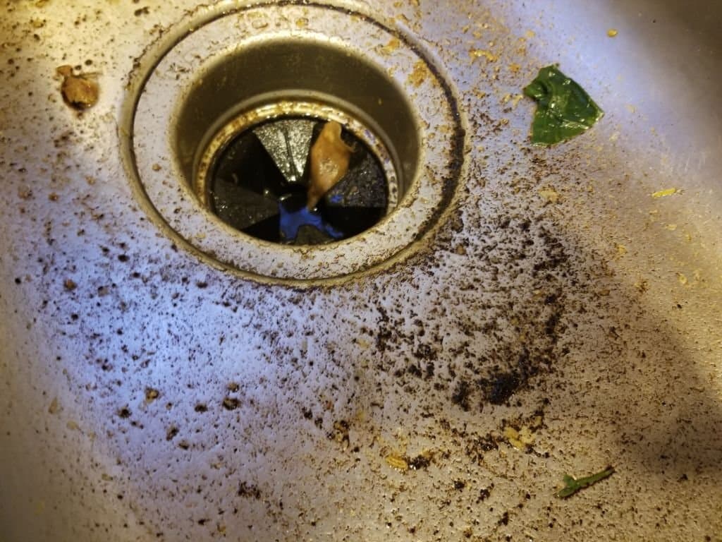 dirty coffee grounds sink