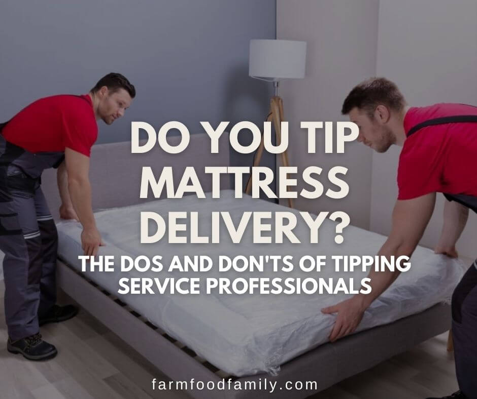 how much to tip mattress delivery